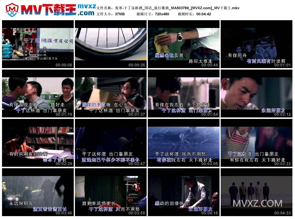 张寒-干了这杯酒_国语_流行歌曲_MA503789